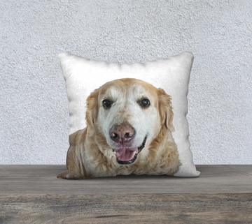 Throw Pillow Cover Finn the Retriever